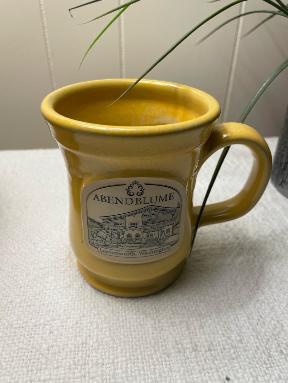 Deneen Pottery Ceramic Mug (USA) - Abendblume Leavenworth Washington Souvenir